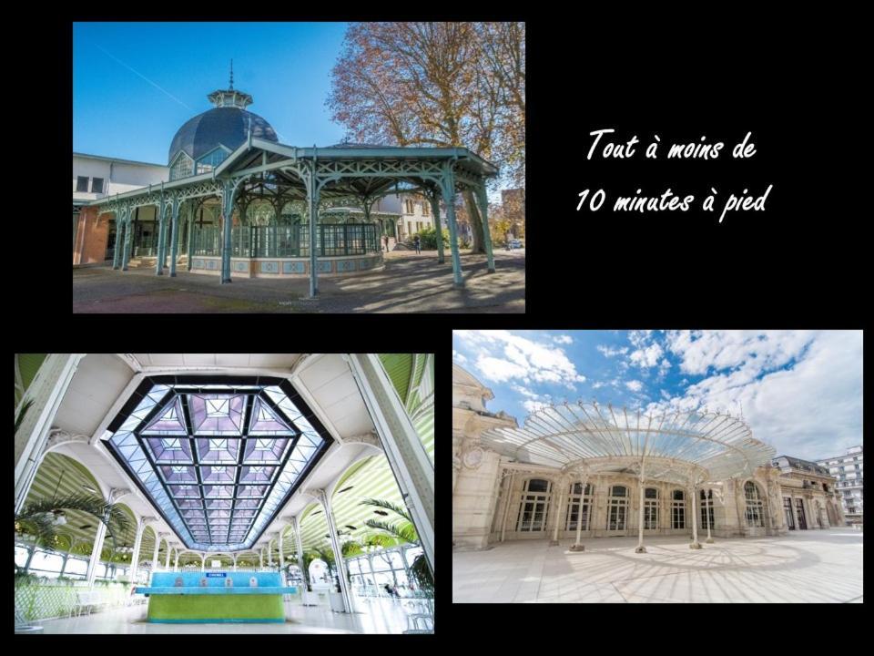 Sources Des Celestins - Gare - Pole Universitaire - Labellise Clevacances 3 Etoiles Βισύ Εξωτερικό φωτογραφία